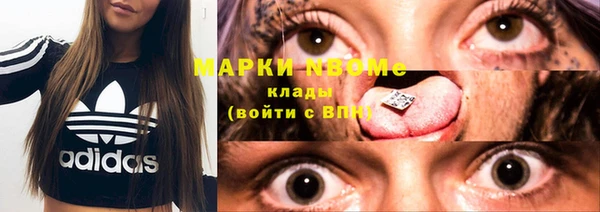 эйфоретик Новокубанск