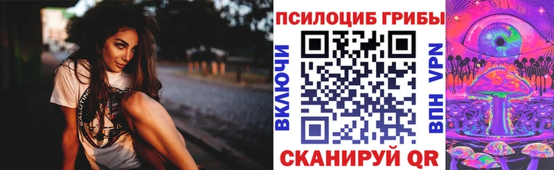 Галлюциногенные грибы MAGIC MUSHROOMS  купить закладку  Тында 